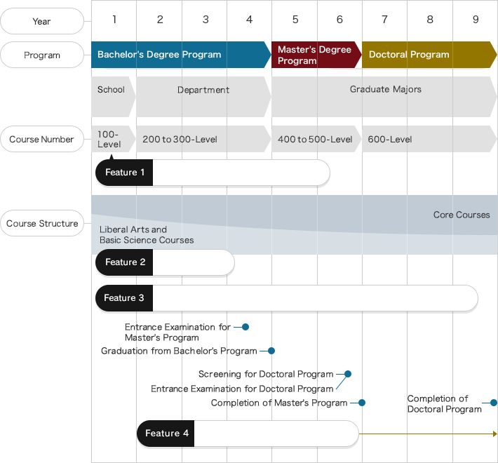 Standard Timeline for Students and 10 features