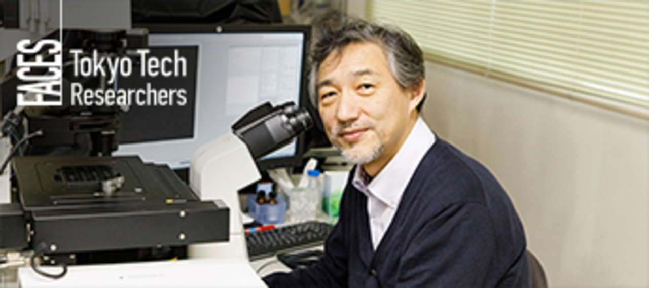 Hiroshi Kimura - How one fertilized egg leads to different cells and ...