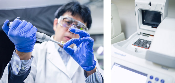 Mix the DNA in solution (left) and place it in a dedicated device for a certain period of time (right). The desired three-dimensional structure is achieved through self-assembly.