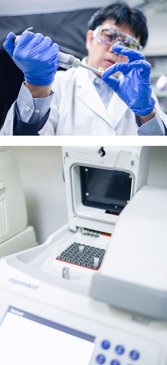 Mix the DNA in solution (above) and place it in a dedicated device for a certain period of time (below). The desired three-dimensional structure is achieved through self-assembly.