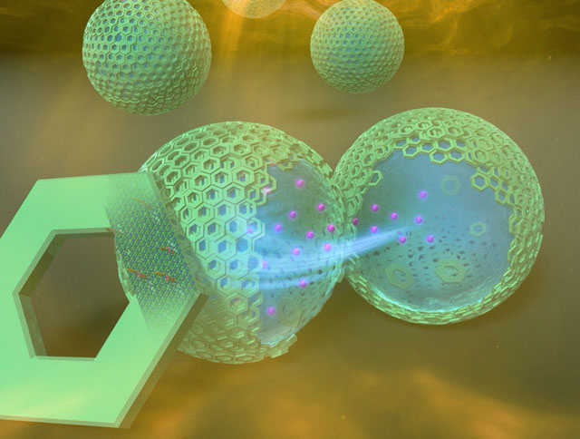 Concept image of artificial cell microcapsules formed using DNA origami (Ishikawa, et al., Angew. Chem. Int. Ed. (2019))