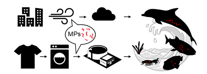 Microplastics, dispersed by wind and water, have an adverse effect on aquatic life.