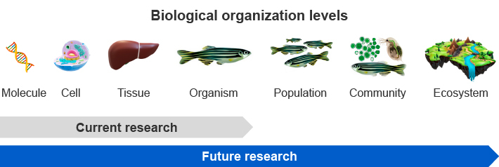 Current research, Future research