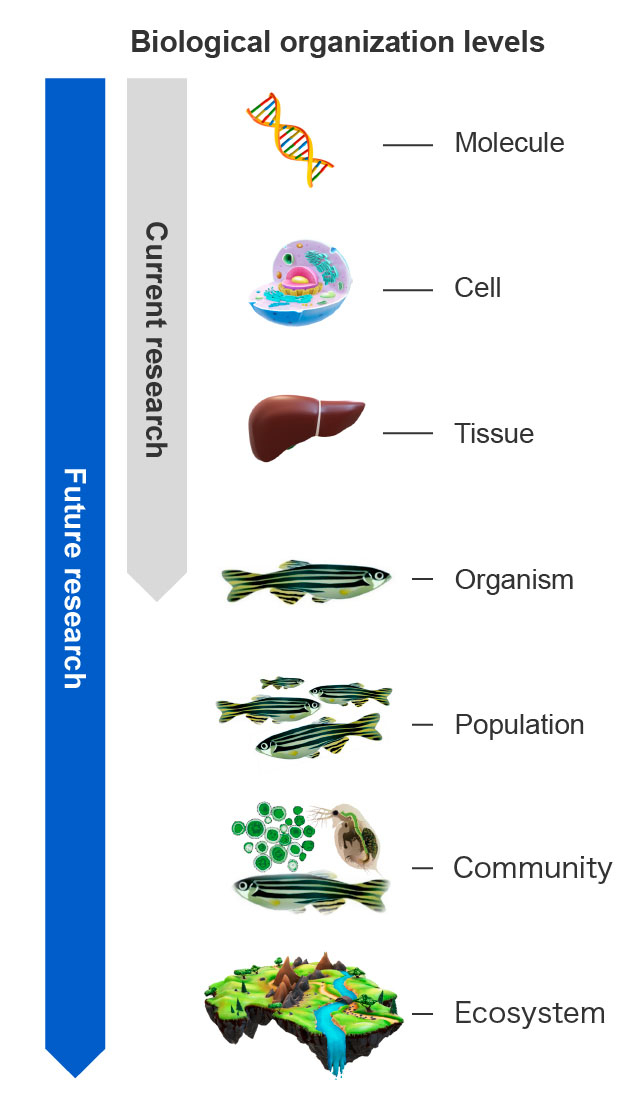 Current research, Future research