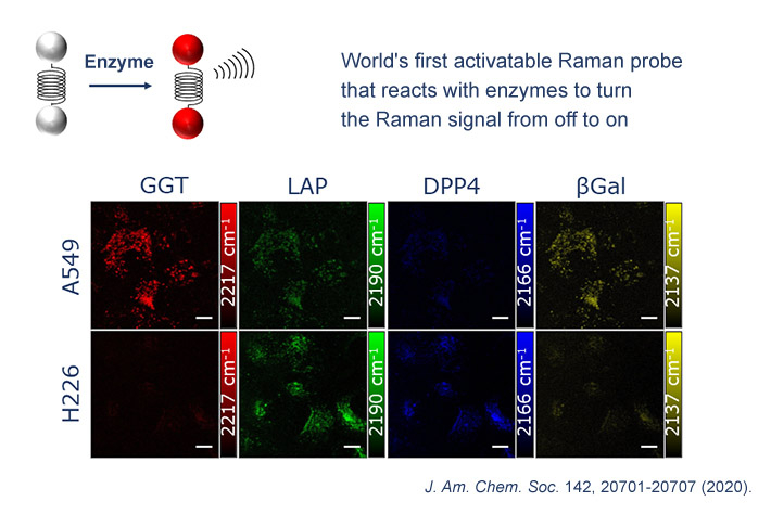 In 2020, in collaboration with Prof. Yasuyuki Ozeki of the University of Tokyo's Research Center for Advanced Science and Technology, Kamiya succeeded in developing an activatable Raman probe. Depicted here is enzyme activity in two lung cancers (A549 and H226) using four different Raman probes (GGT, LAP, DPP4, and βGal). Thus, hopefully having more types of enzymes and activity patterns that can be observed simultaneously will enable more precise cancer diagnosis.