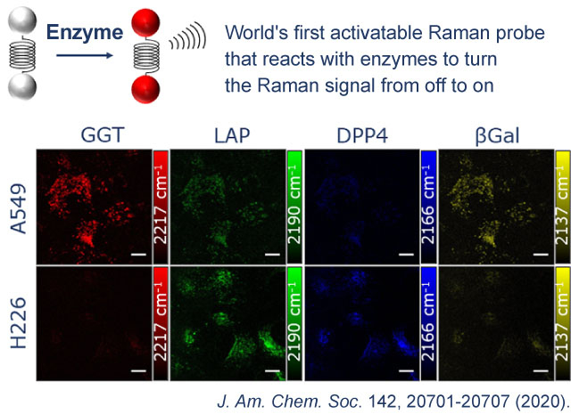 In 2020, in collaboration with Prof. Yasuyuki Ozeki of the University of Tokyo's Research Center for Advanced Science and Technology, Kamiya succeeded in developing an activatable Raman probe. Depicted here is enzyme activity in two lung cancers (A549 and H226) using four different Raman probes (GGT, LAP, DPP4, and βGal). Thus, hopefully having more types of enzymes and activity patterns that can be observed simultaneously will enable more precise cancer diagnosis.