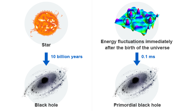Differences in the formation of black holes and primordial black holes