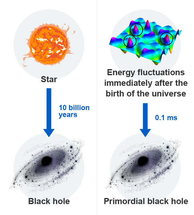Differences in the formation of black holes and primordial black holes
