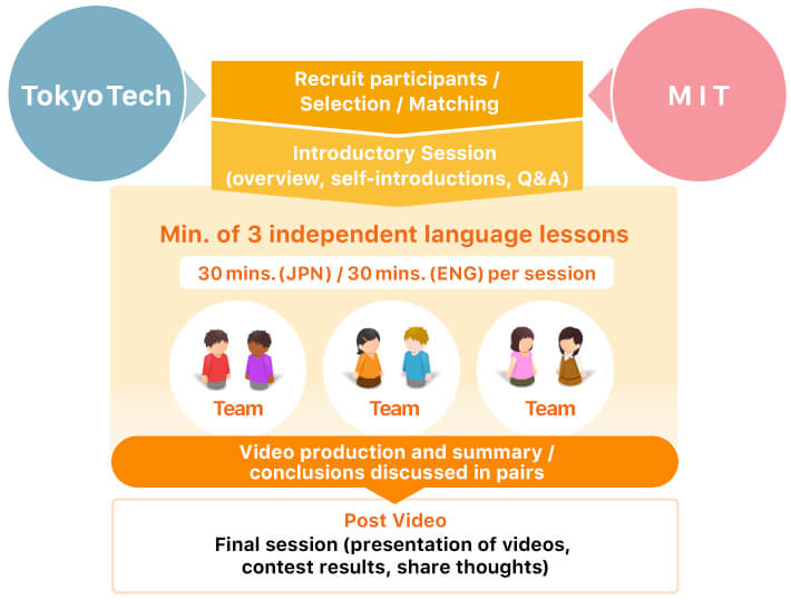 Flow of Online Language Exchange