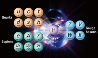 The world of elementary particles seen from the Standard Model