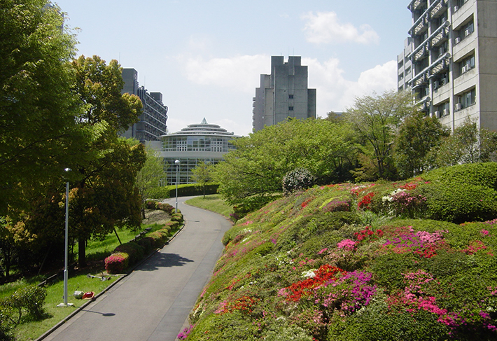 Spring in Suzukakedai Campus