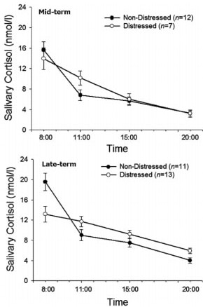 Diurnal changes in salivary cortisol secretion in two groups, second trimester and third trimester of pregnancy.