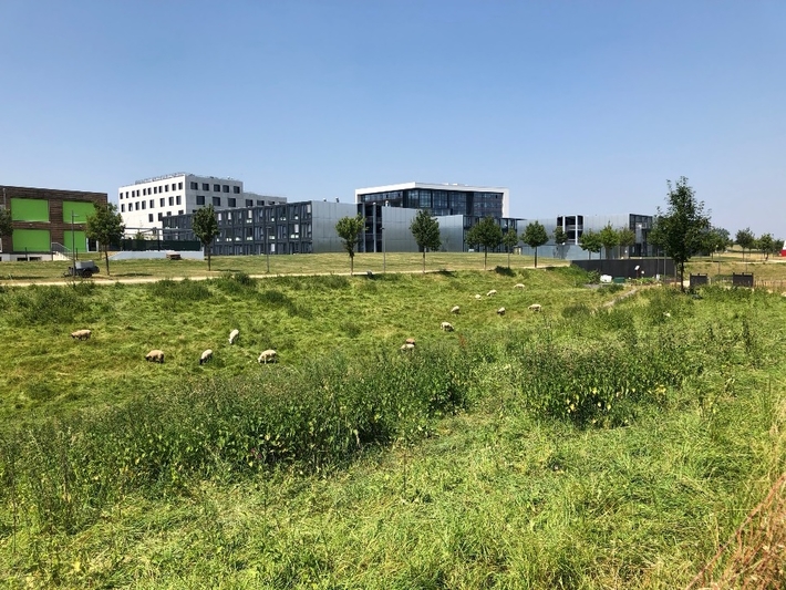 The landscape of Campus Melaten (left)