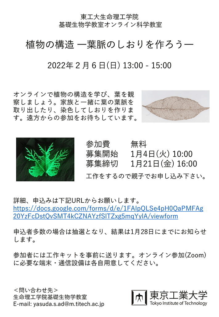 オンライン科学教室 「植物の構造 ―葉脈のしおりを作ろう―」