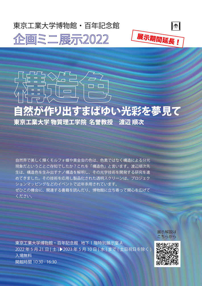 東京工業大学博物館 ミニ企画展示 構造色 自然が作り出すまばゆい光彩を夢見て