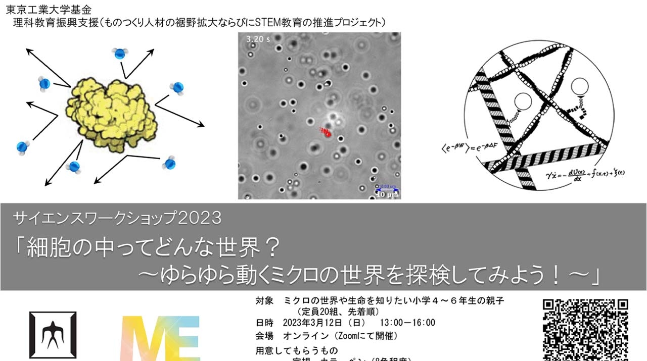 サイエンスワークショップ2023「細胞の中ってどんな世界