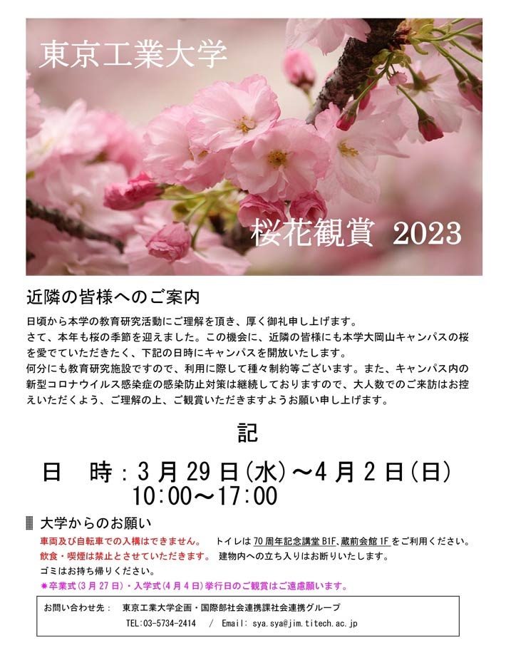 桜花観賞2023