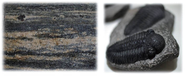 左：最古の岩石（片麻岩、41億年前）、右：三葉虫の化石（古生代：約5.7〜2.45億年前）