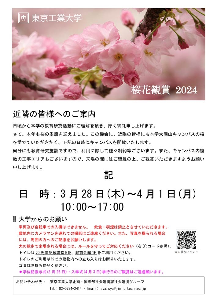 桜花観賞2024