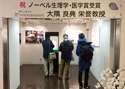 博物館すずかけ台分館のメダル展示コーナー