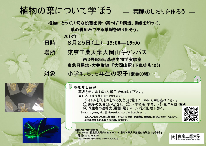 科学教室 植物の葉について学ぼう 葉脈のしおりを作ろう イベントカレンダー 東京工業大学