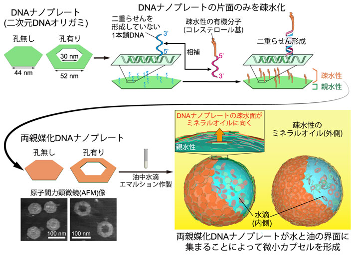 取材内容に関する図.