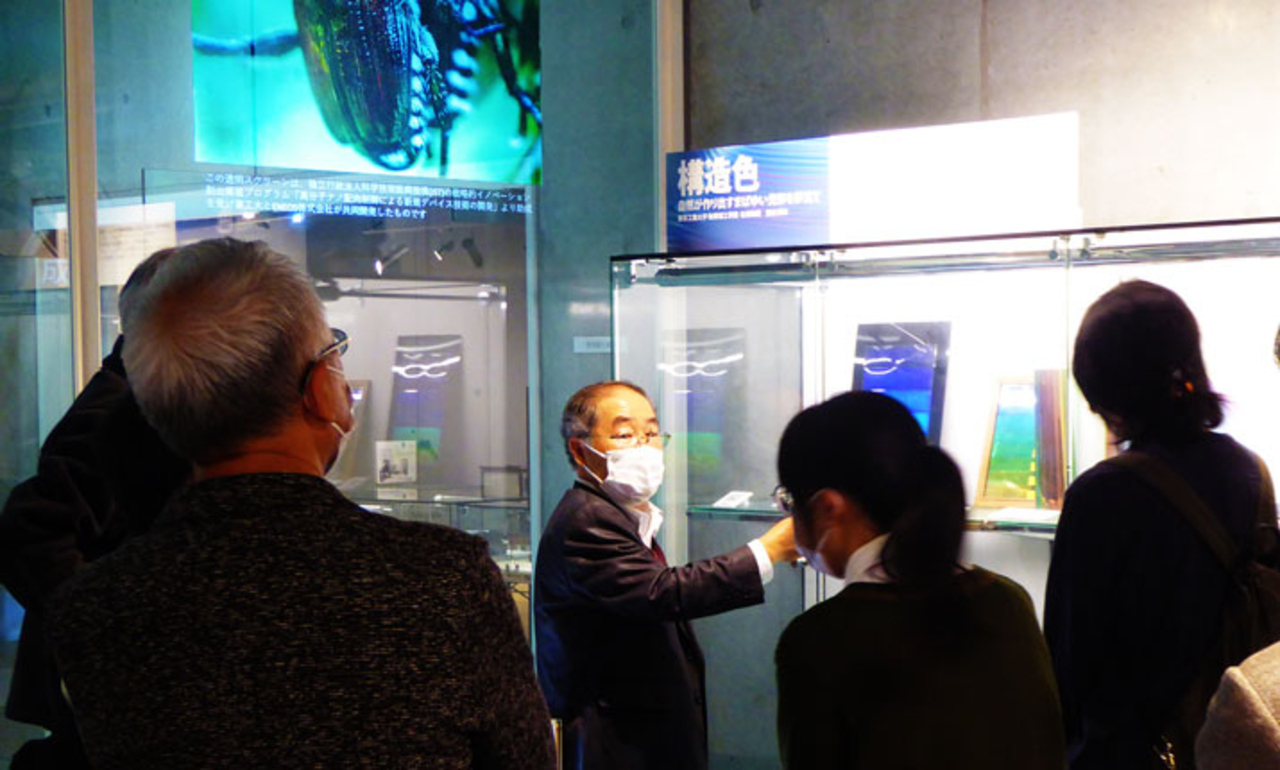 地下特別展示室の企画ミニ展示『構造色』の説明をする渡辺特任教授
