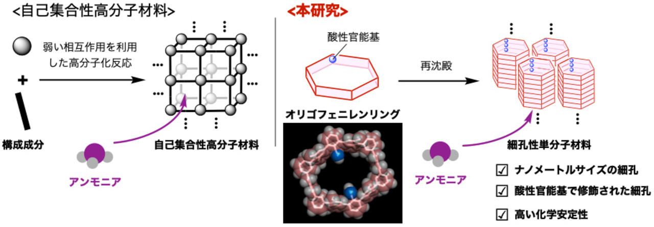 図1 従来の自己集合性の高分子細孔性材料（左）とオリゴフェニレンリングの単分子結晶からなる細孔性材料（右） 