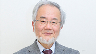 Honorary Professor Yoshinori Ohsumi selected as 2015 Person of Cultural Merit
