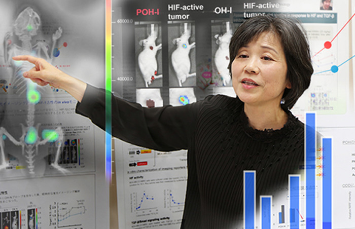 Shinae Kondoh - A determined quest toward new horizons in cancer treatment