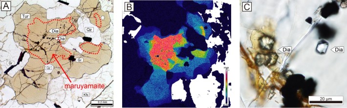 (A)丸山電気石の顕微鏡写真。茶色の電気石のうち、赤色破線で囲まれた部分が丸山電気石。(B)電気石（写真Aと同じ粒子）のカリウム元素マッピング結果。暖色系の部分ほどカリウムが多く含まれる。(C)丸山電気石に含まれるダイヤモンドの顕微鏡写真。ダイヤモンドは10μm程度と非常に細粒であり、岩石の専門家でも見つけるのは至難の業で、研究には根気と経気と経験を必要とする。
												   
