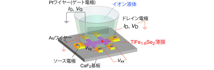 本研究で作製した電気二重層トランジスタの概略図