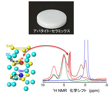 アパタイトセラミックスとH-イオンが取り込まれた局所構造