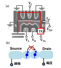 シリコン量子ドット素子の電子顕微鏡写真とスピンに依存するトンネル現象の模式図