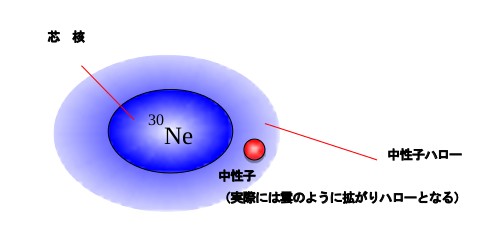 今回観測されたネオン31の描像