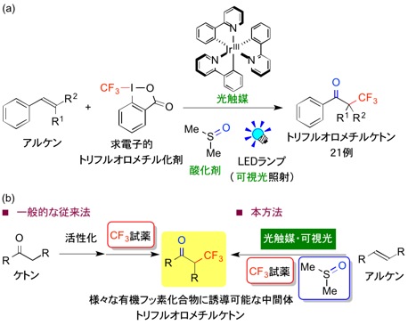 図1(a)本研究成果: 光触媒によるアルケン類の酸化的トリフルオロメチル化 (b)従来法と本方法の比較