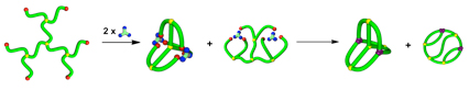 六分岐テレケリクスのESA-CF法を用いたK<sub>3,3</sub>グラフ構造高分子の構築