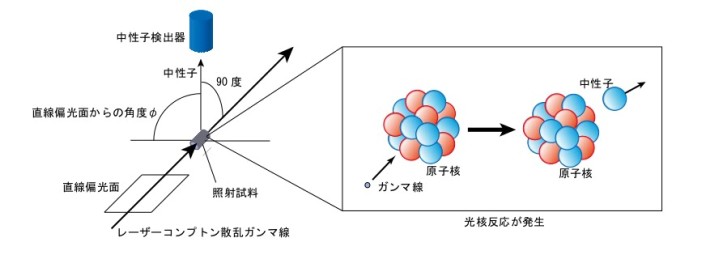 図1 ガンマ線を吸収して中性子を放出する模式図と実験の配置図