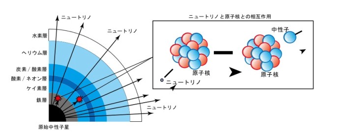 図4 超新星爆発とニュートリノの模式図