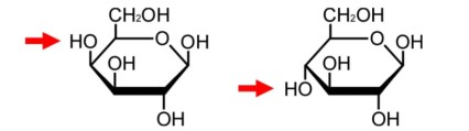 図1 ガラクトースとグルコースの構造。C4位の水酸基の向きが異なる（矢印）。左:ガラクトース、右:グルコース