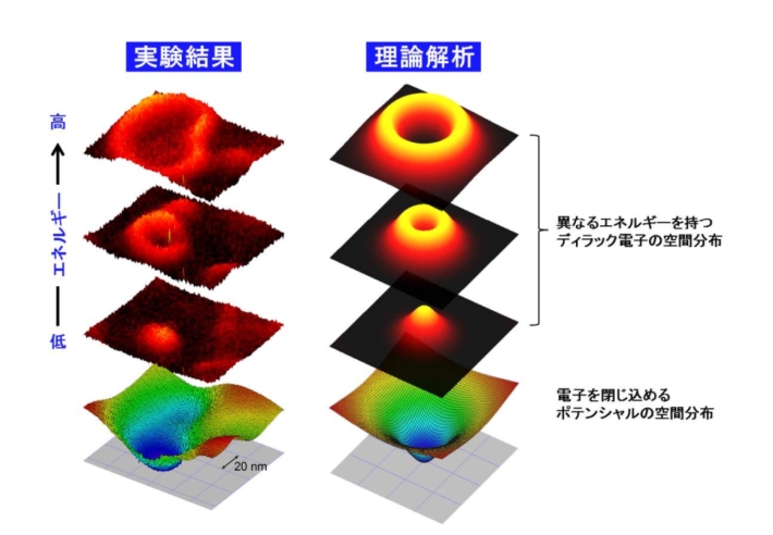 図2 欠陥が作るポテンシャルと磁場によってトラップされたディラック電子