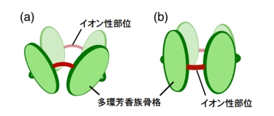 多環芳香族骨格に囲まれたナノ空間を有する(a)ボウル状分子および(b)チューブ状分子の模式図.