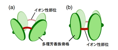 多環芳香族骨格に囲まれたナノ空間を有する(a)ボウル状分子および(b)チューブ状分子の模式図.