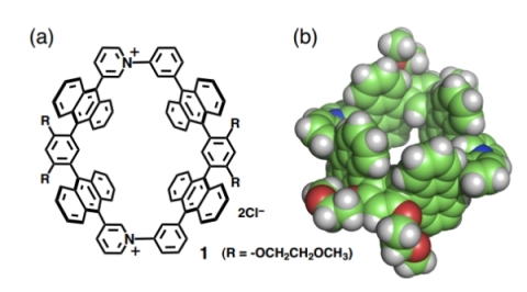 図3 分子チューブ1の(a)化学構造および(b)X線結晶構造（空間充填モデル）。