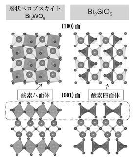 強誘電体Bi2WO6とBi2SiO5の構造の比較