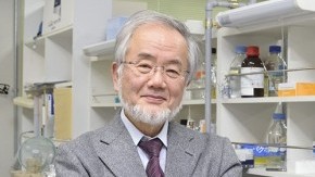 大隅良典栄誉教授が2015年ガードナー国際賞を受賞
