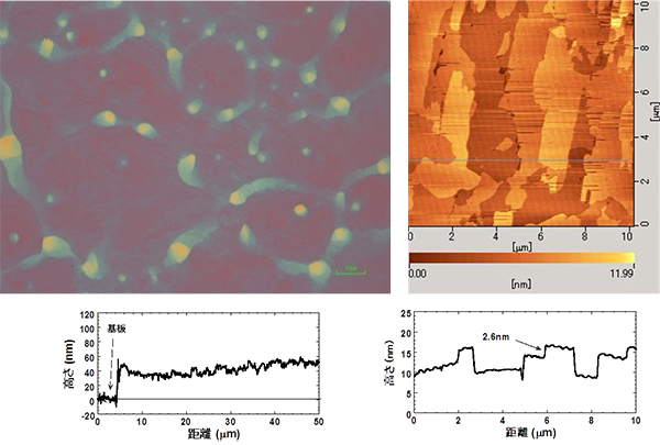 Ph-BTBT-10を用いて、110℃でスピンコート法により作製した多結晶薄膜の顕微鏡写真と共焦点レーザ顕微鏡（左）、および、原子間力顕微鏡により観察した多結晶膜の表面形状（右）
