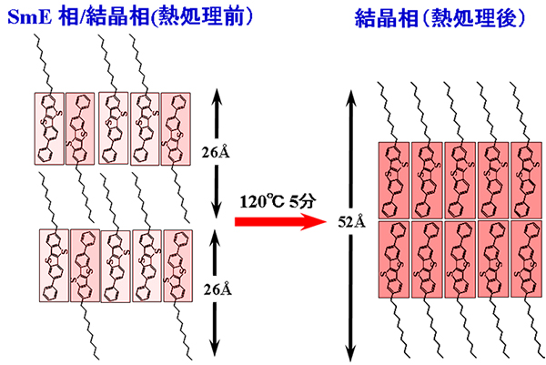 Ph-BTBT-10結晶薄膜の熱処理による推定される結晶構造の変化
