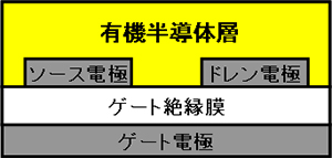 ボトムゲート・ボトムコンタクト型トランジスタ