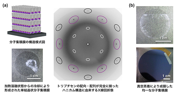 （a） 加熱溶融状態からの冷却により形成した分子集積膜の構造模式図（左上）、膜のスナップショット（左下）、およびX線回折像（右）。 回折像で黒、紫および白の楕円で囲まれた部分には、2次元状ハニカム構造に由来する、六角形状に並んだ回折スポットが観測される。 （b） 真空蒸着によりサファイア基板（上）およびシリコン基板（下）に成膜した均一な分子集積膜。